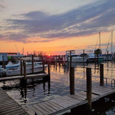 OSO at Bear Point Harbor - Orange Beach by null