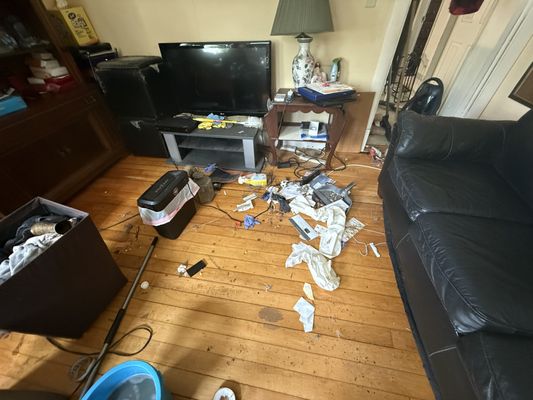 Purity Works Cleaning Service