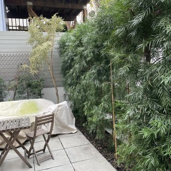 SF Gardening Services - Gardeners Near Me - San Francisco, California