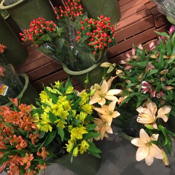 Pick 'n Save - variety of flowers for sale - Grocery Near Me - Sun Prairie, Wisconsin Pick 'n Save - variety of flowers for sale - Grocery Near Me - Sun Prairie, Wisconsin