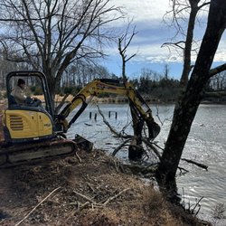 Bryce Tree Service