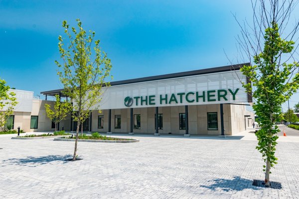 The Hatchery Chicago by null The Hatchery Chicago by null