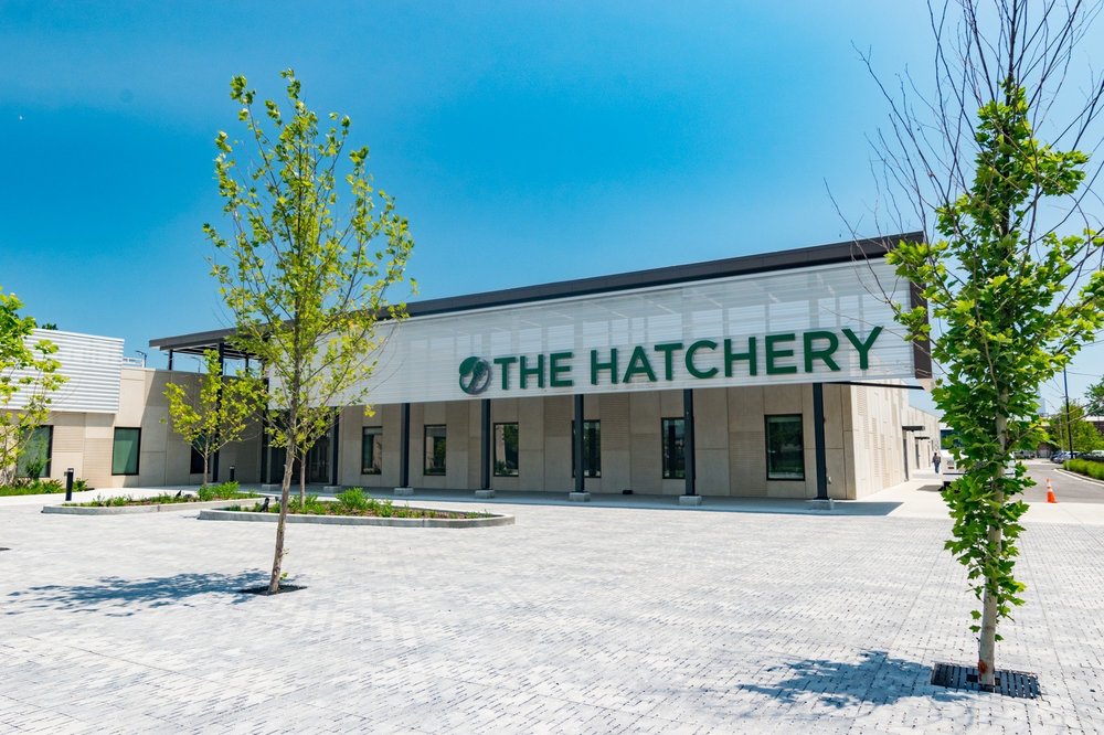 The Hatchery - Chicago - social services organization in Chicago, IL