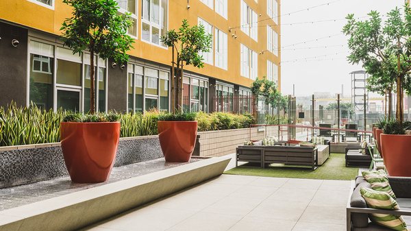 Blossom Plaza by null