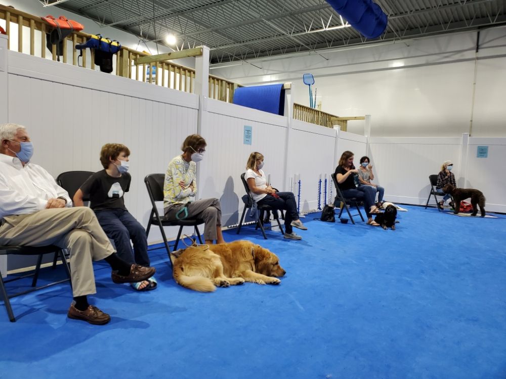 Pets Helping People - social services organization in Bayside, WI