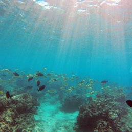 Snorkeling