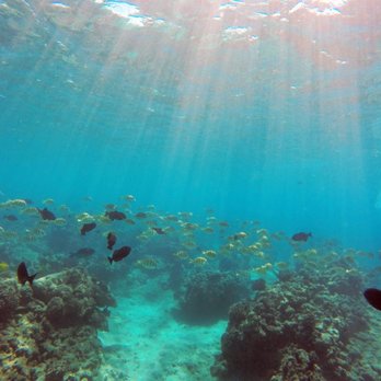 Hulopo'e Beach Park - Snorkeling - Parks Near Me - Lanai City, Hawaii