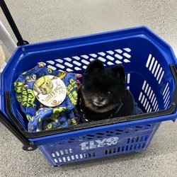Five Below - Woof
