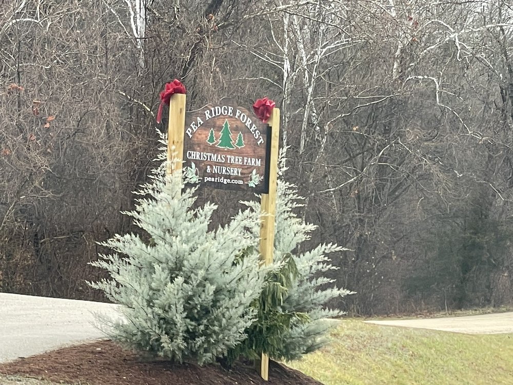 PEA RIDGE FOREST CHRISTMAS TREE FARM Updated September 2024 12