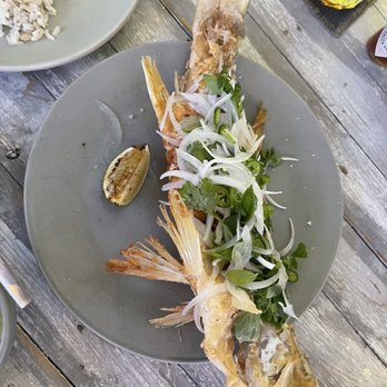 Ictio - Seafood Near Me - Playa del Carmen, ROO