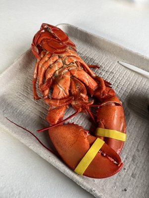 Young's Lobster Pound by null