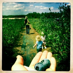 Blueberry Hill Farm