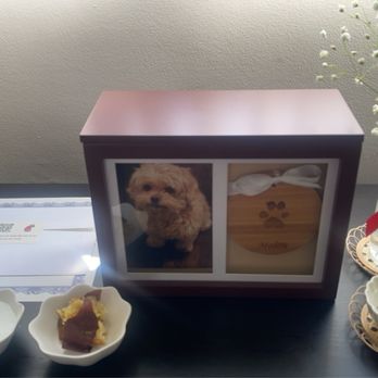 Gentle Journey Pet Cremation - Pet Cremation Services Near Me Gentle Journey Pet Cremation - Pet Cremation Services Near Me