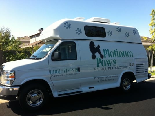 Buffalo #buffalo #wildlife wildlife yorkshire wildlife park cotswold ...