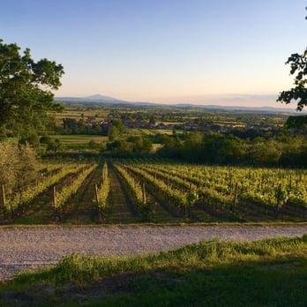 Il Falconiere - Hotels Near Me - Cortona, Arkansas