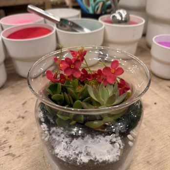 PlantHouse - DIY Terrarium - Nurseries & Gardening Near Me - Alexandria, Virginia