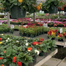 Patrick Lyons Greenhouses
