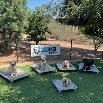 IQ K9 Training - Pet Training Near Me - Valley Center, California IQ K9 Training - Pet Training Near Me - Valley Center, California