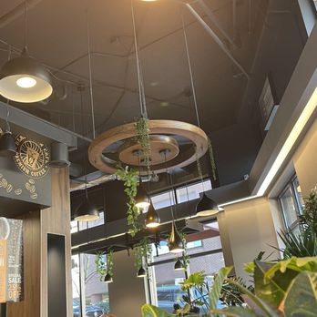 Black Lion Cafe - greenery - Cafes Near Me - Silver Spring, Maryland Black Lion Cafe - greenery - Cafes Near Me - Silver Spring, Maryland