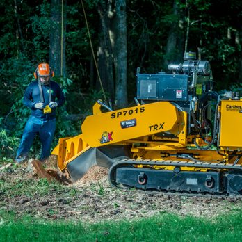 Zamora Tree Service - Tree Services Near Me - Lawrenceville, Georgia Zamora Tree Service - Tree Services Near Me - Lawrenceville, Georgia