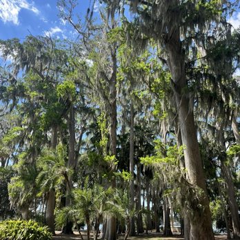 Kraft Azalea Garden - Parks Near Me - Winter Park, Florida