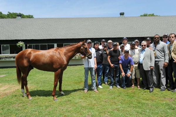 Belmont Park by null