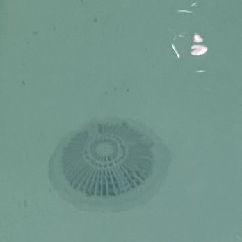 Club Westside - Mold and gross stuff and bottom of cold plunge. - Tennis Near Me - Houston, Texas Club Westside - Mold and gross stuff and bottom of cold plunge. - Tennis Near Me - Houston, Texas