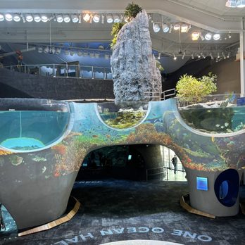 Seattle Aquarium - Aquariums Near Me - Seattle, Washington
