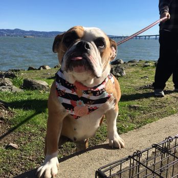 TreasureFest - Flea Markets Near Me - San Francisco, California