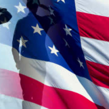 Veteran Tree Services - Tree Services Near Me - Laurel, Maryland