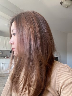 Momotaro Salon by null