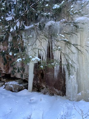 Blackwater Falls by null