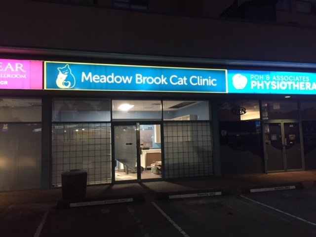 Meadow Brook Cat Clinic 2025