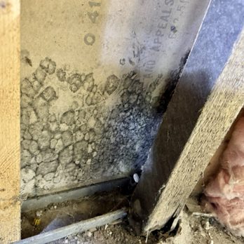 Elite Home & Mold Inspections - Hidden Black Mold behind drywall - Home Inspectors Near Me Elite Home & Mold Inspections - Hidden Black Mold behind drywall - Home Inspectors Near Me