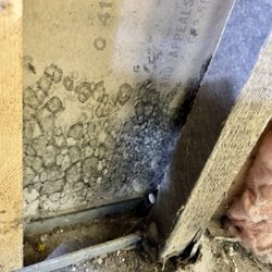 Elite Home & Mold Inspections - Hidden Black Mold behind drywall