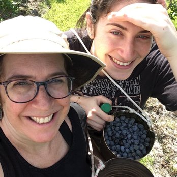 Well's Blueberry Farm - two women picking blueberries - Farmers Market Near Me - Southampton, New Jersey Well's Blueberry Farm - two women picking blueberries - Farmers Market Near Me - Southampton, New Jersey