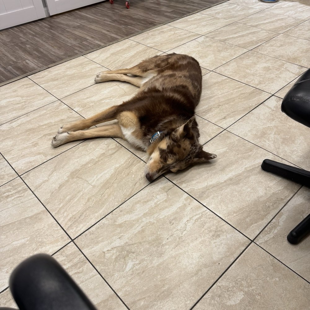 Cavalry Salon - Store mascot - Hair Salons Near Me - Washington, DC, District of Columbia