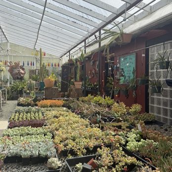 Los Osos Valley Nursery - Nurseries & Gardening Near Me - Los Osos, California
