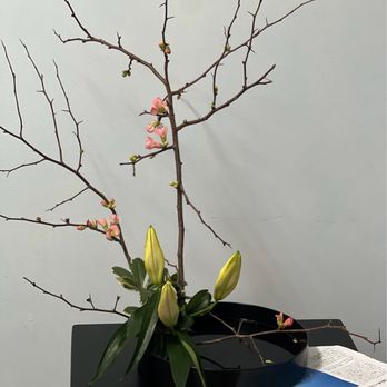 Ikebana Sogetsu by Senyo - Art Classes Near Me - Mill Neck, New York
