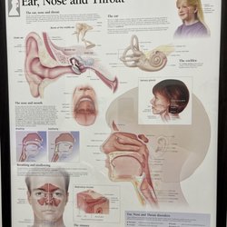 FT Worth ENT - Poster in patient room