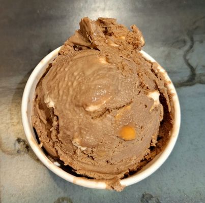 The Screamery by null
