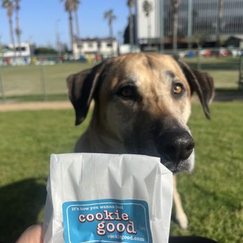 Cookie Good - Bakeries Near Me - Santa Monica, California