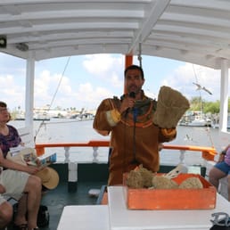 Explaining the different types of sponges. TIP - If you want your sea sponge to last, do not use bleach!