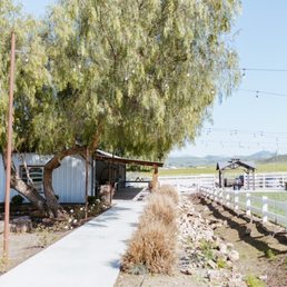 Venue