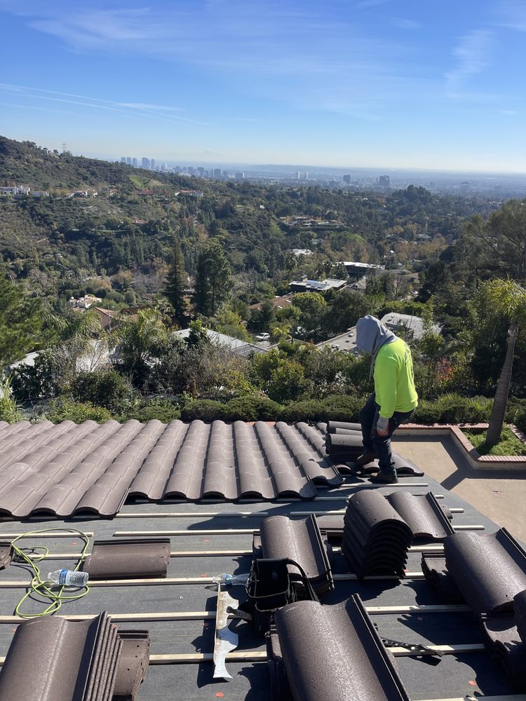 Slide of DLS Development