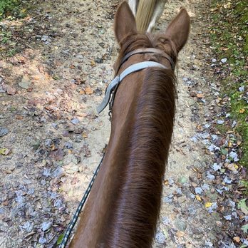 Cedar Creek Stables - Horse - Horseback Riding Near Me - Lake Lure, North Carolina Cedar Creek Stables - Horse - Horseback Riding Near Me - Lake Lure, North Carolina