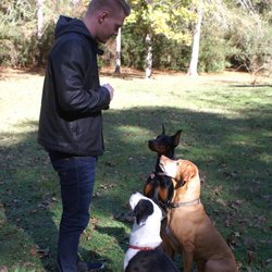 MC K9 Training
