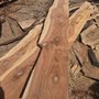 East Bay Tree Service