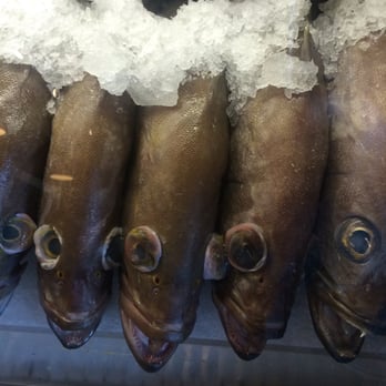 Safe Harbor Seafood - Fish - Seafood Near Me - Jacksonville, Florida