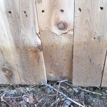 Patriot Fence Crafters - Broken boards - Fences & Gates Near Me - Danvers, Massachusetts Patriot Fence Crafters - Broken boards - Fences & Gates Near Me - Danvers, Massachusetts